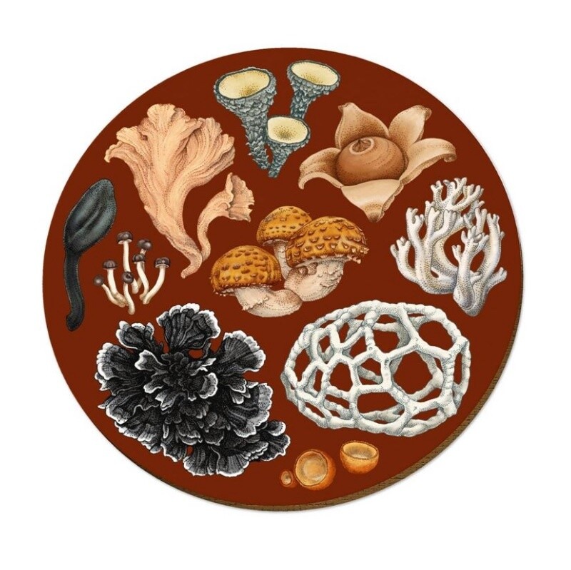 Native Fungi Placemat, Design: Phellodon