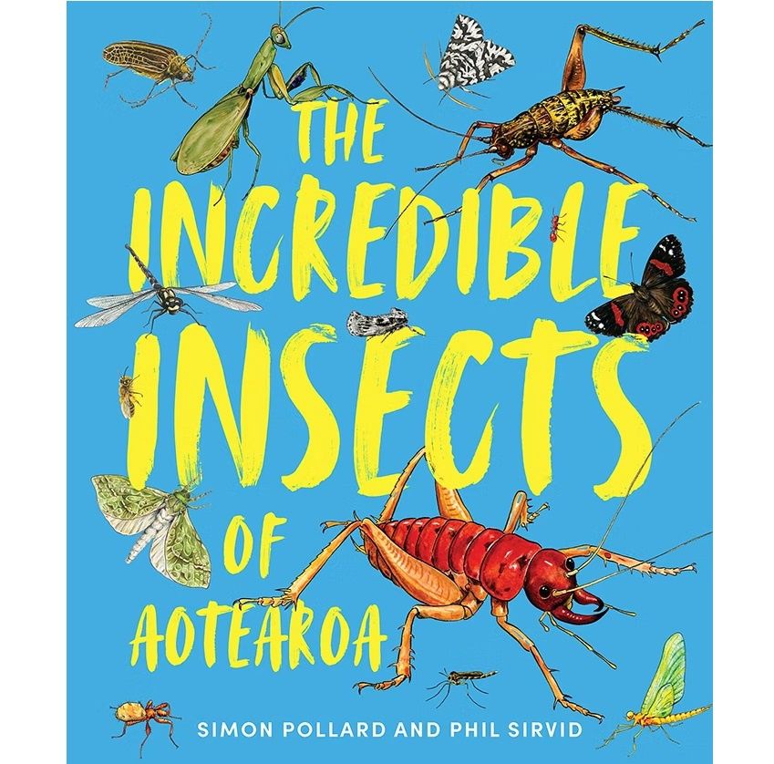 The Incredible Insects of Aotearoa