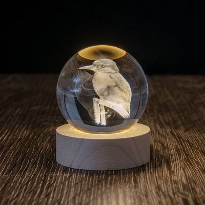 Glass Globe Lamp - Kōtare / Kingfisher