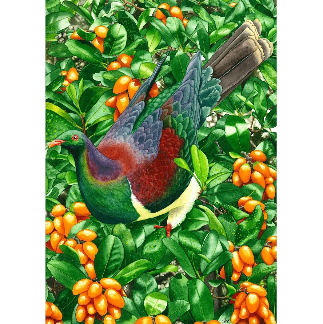 Tom Nordmeier Watercolour Prints, Title: Karaka/Orange