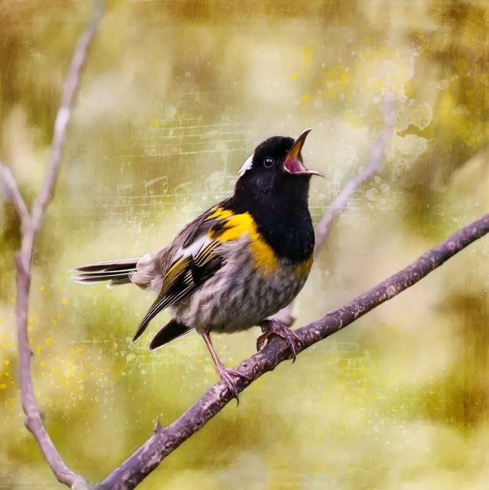 Judi Lapsley Miller Prints - Medium, Design: A Little Ray of Sunshine (Hihi)
