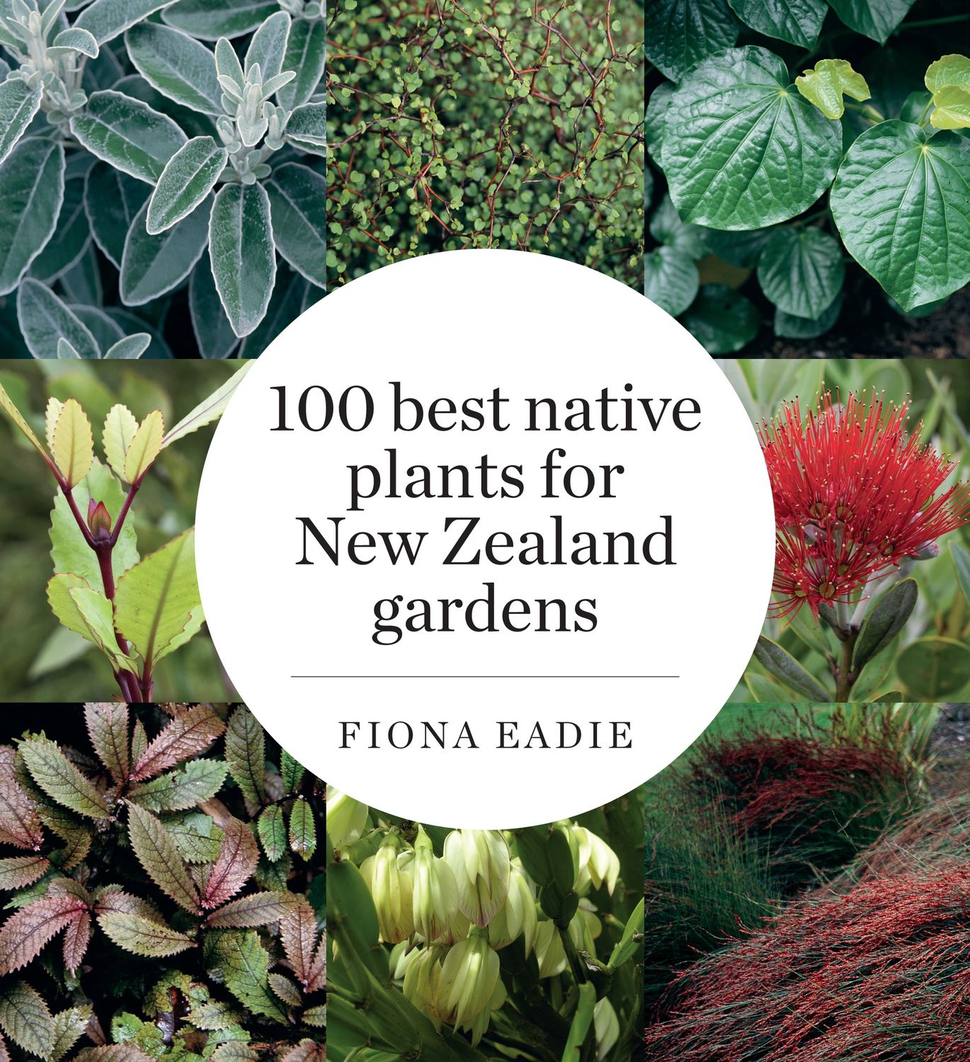 100 Best Native Plants For New Zealand Gardens