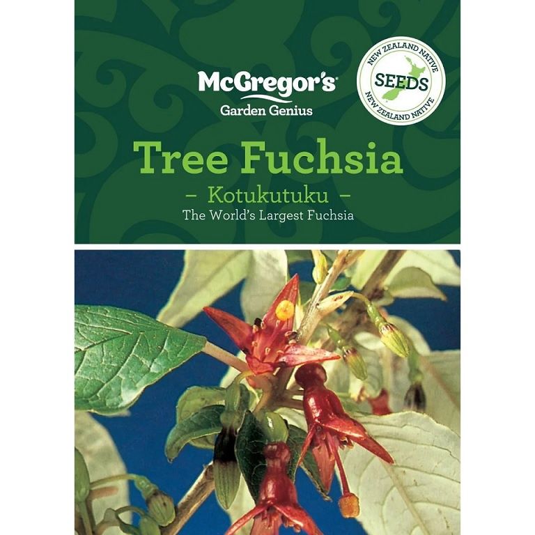 New Zealand Native Seeds, Title: Tree Fuschia / Kōtukutuku