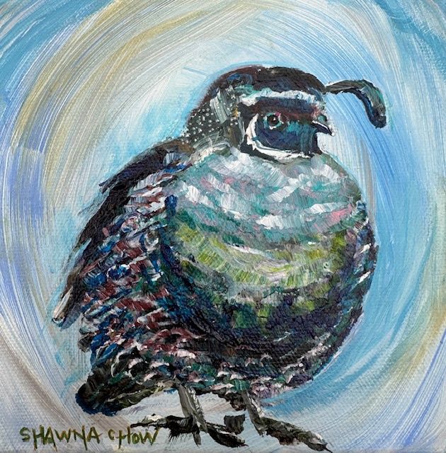 Shawna Chow Originals, Design: Quirky Tīkaokao (California Quail): 15cm x 15cm