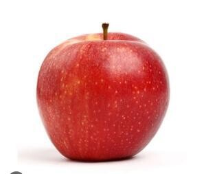 Manzana fijo
