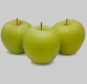 Manzana golden Bierzo
