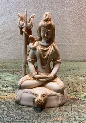 Shiva de resina