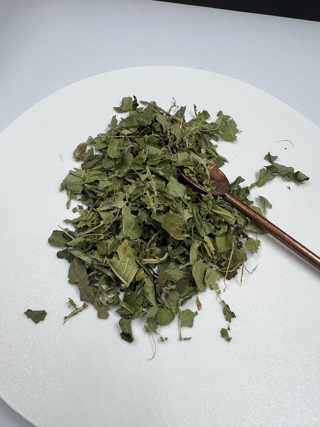 Verveine
