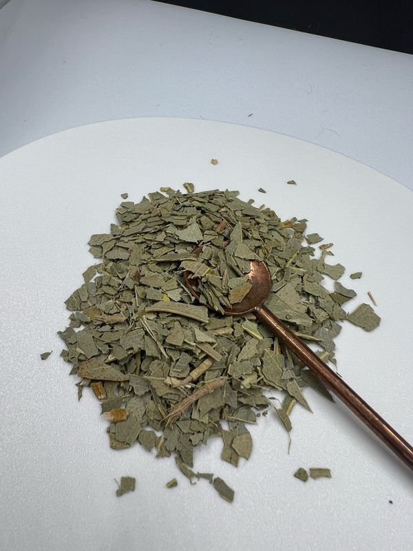 Eucalyptus