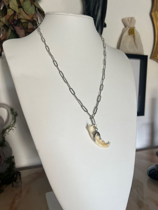 Collier Mâchoire