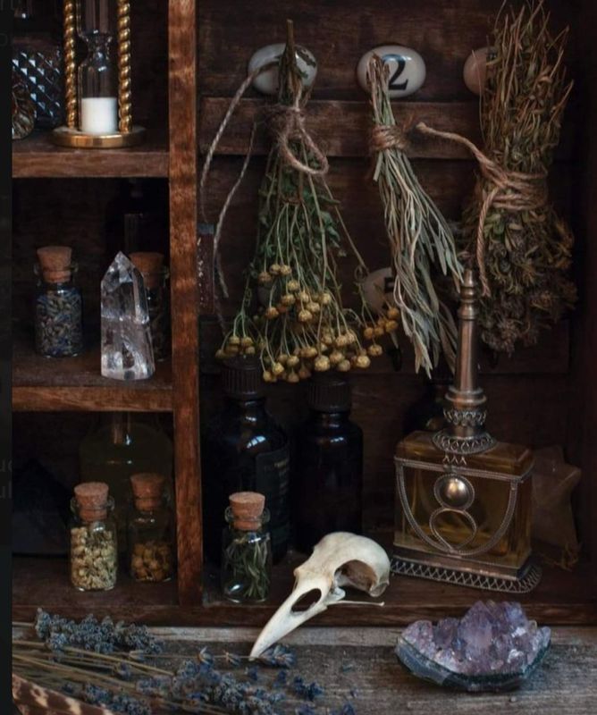 BOUTIQUE 