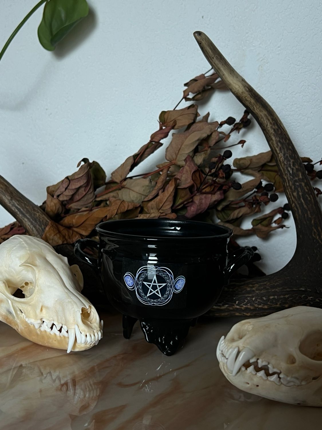 Chaudron Pentacle