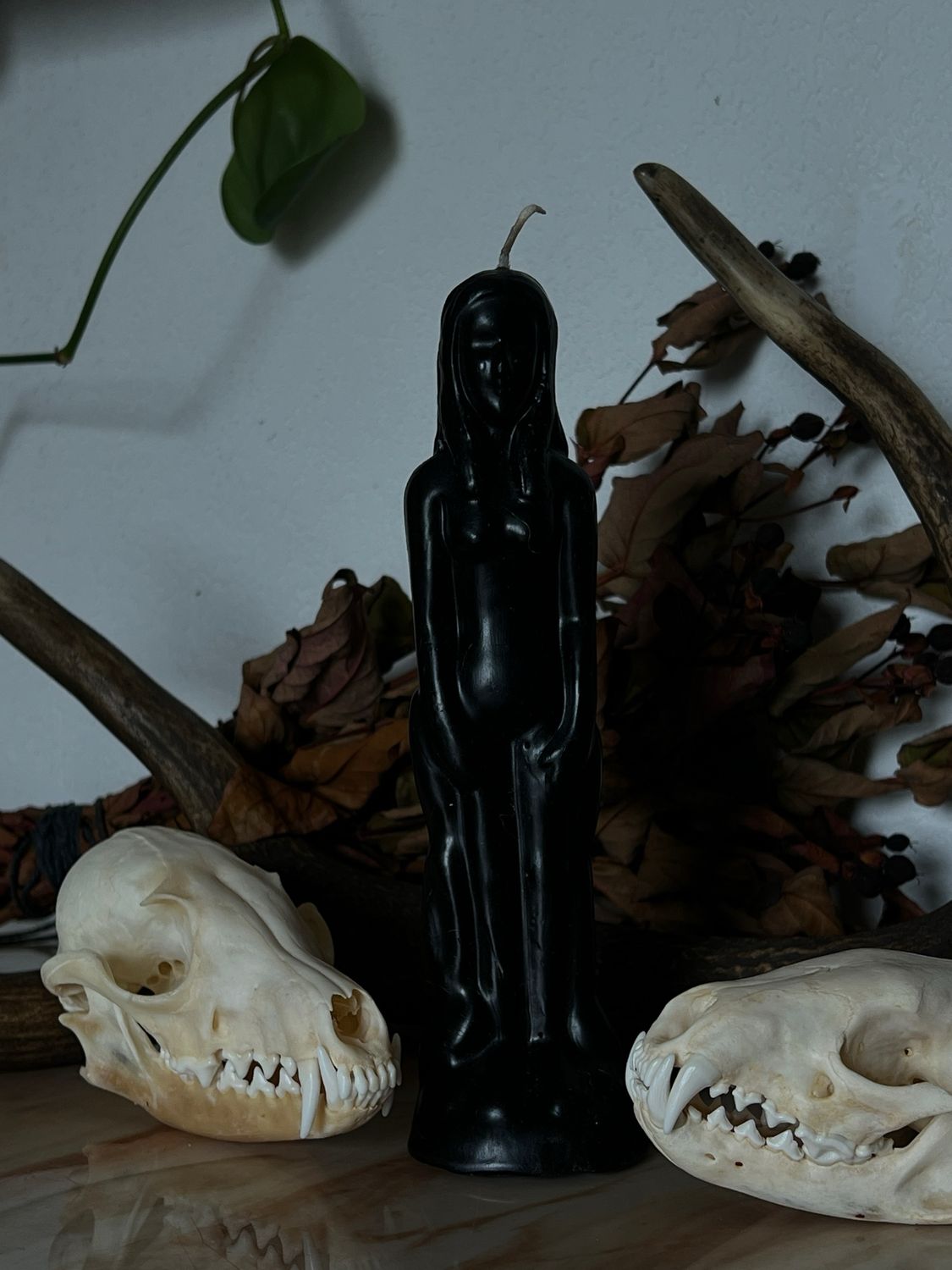 Dagyde femme
