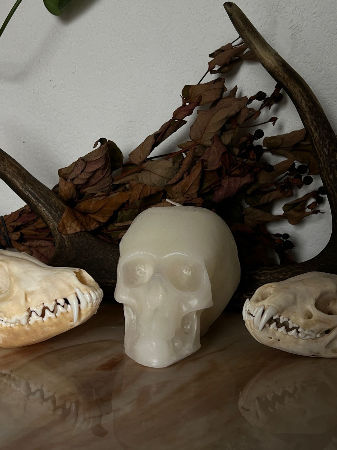 Bougie tête de mort