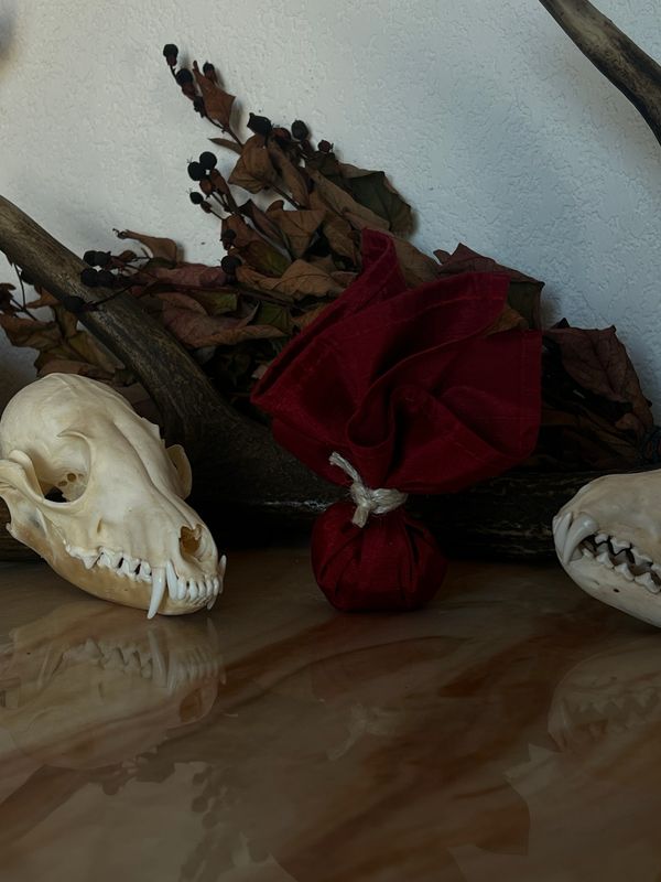 Spell jar et mojo bag