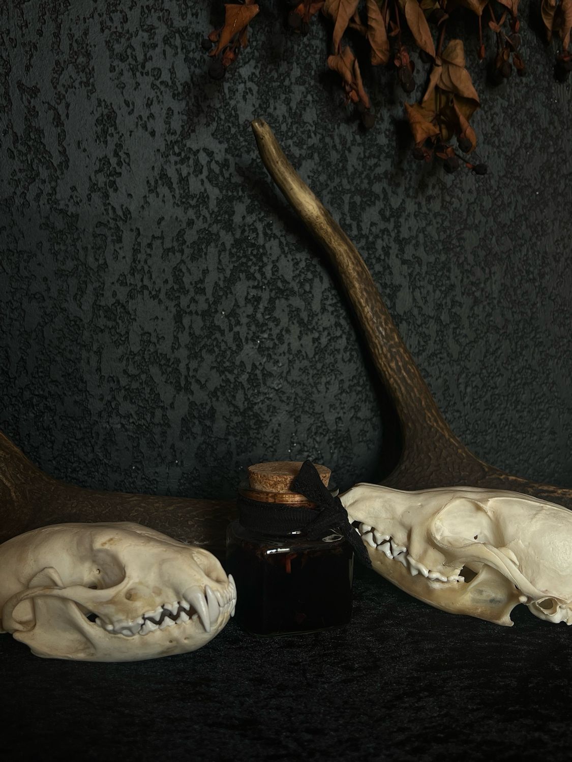 Spell Jar de protection