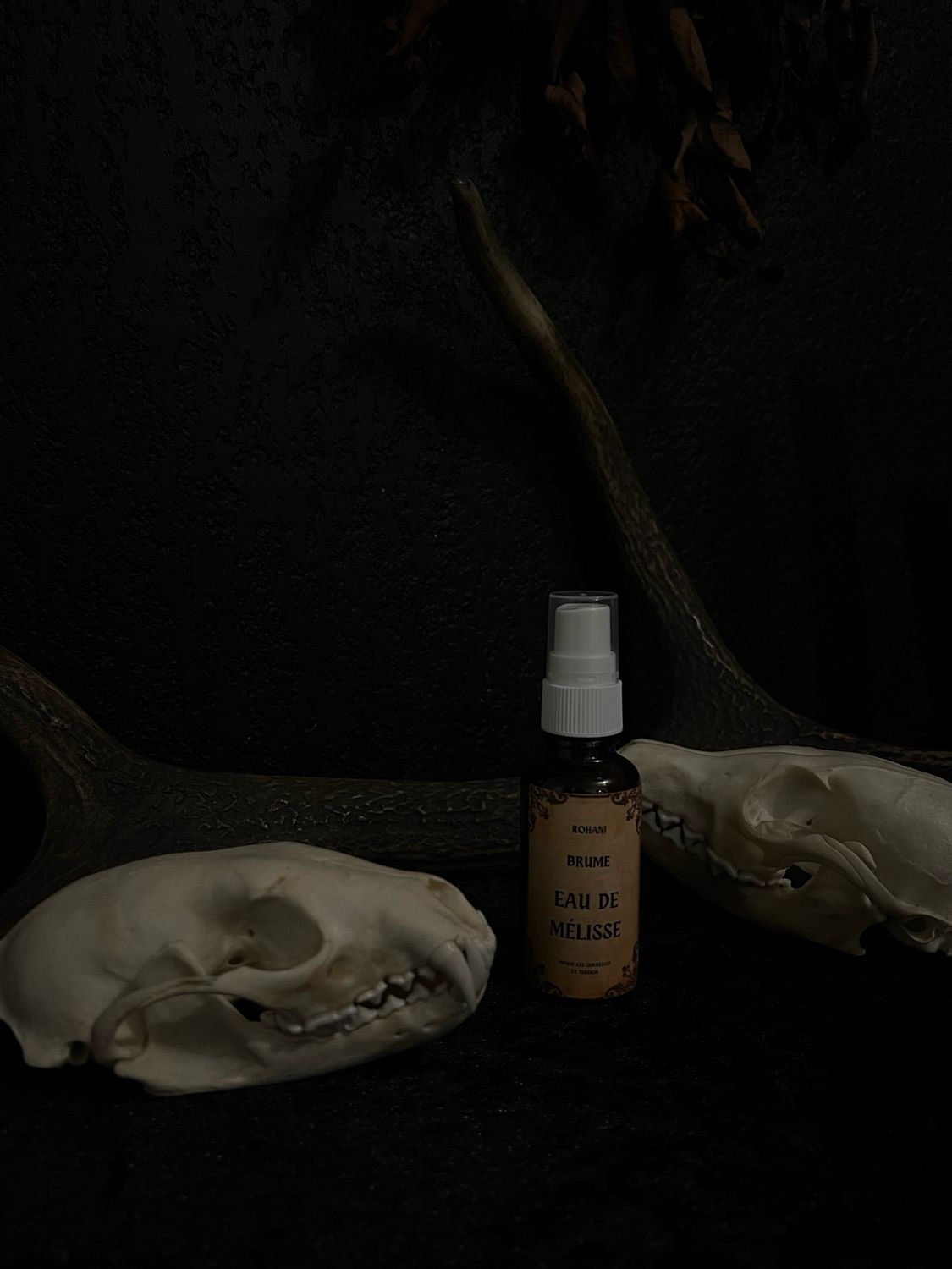 Eau de mélisse