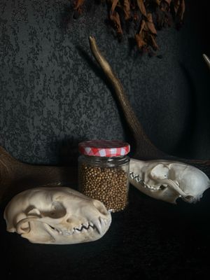 Herbes rituels et poudres
