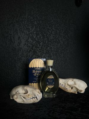 Parfums et Lotions