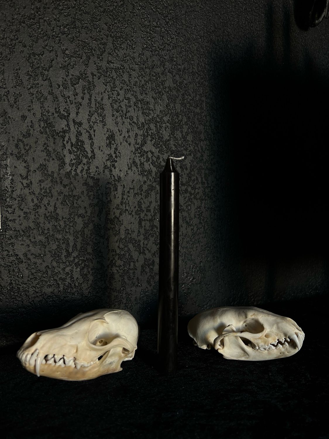 Chandelle Noir