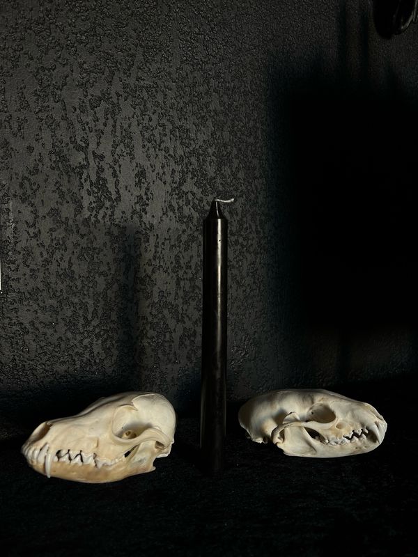 Chandelle Noir