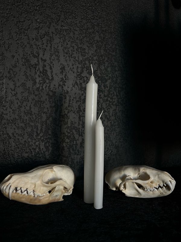 Bougie rituel Blanche
