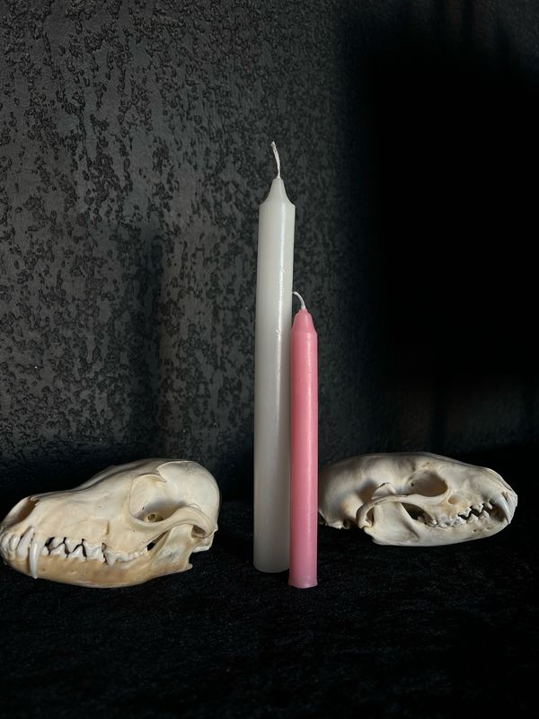 Bougie rituel Rose
