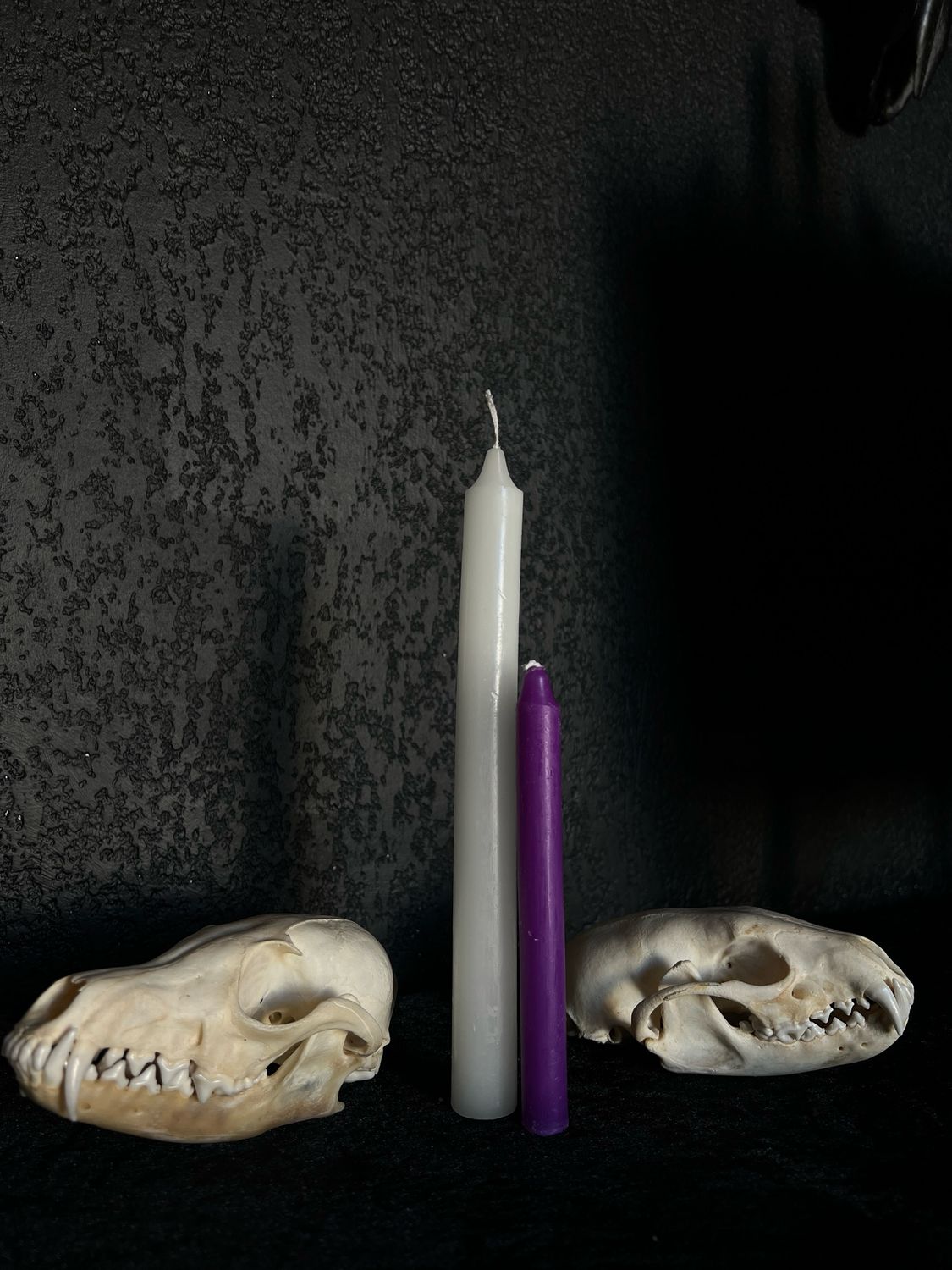 Bougie rituel Mauve