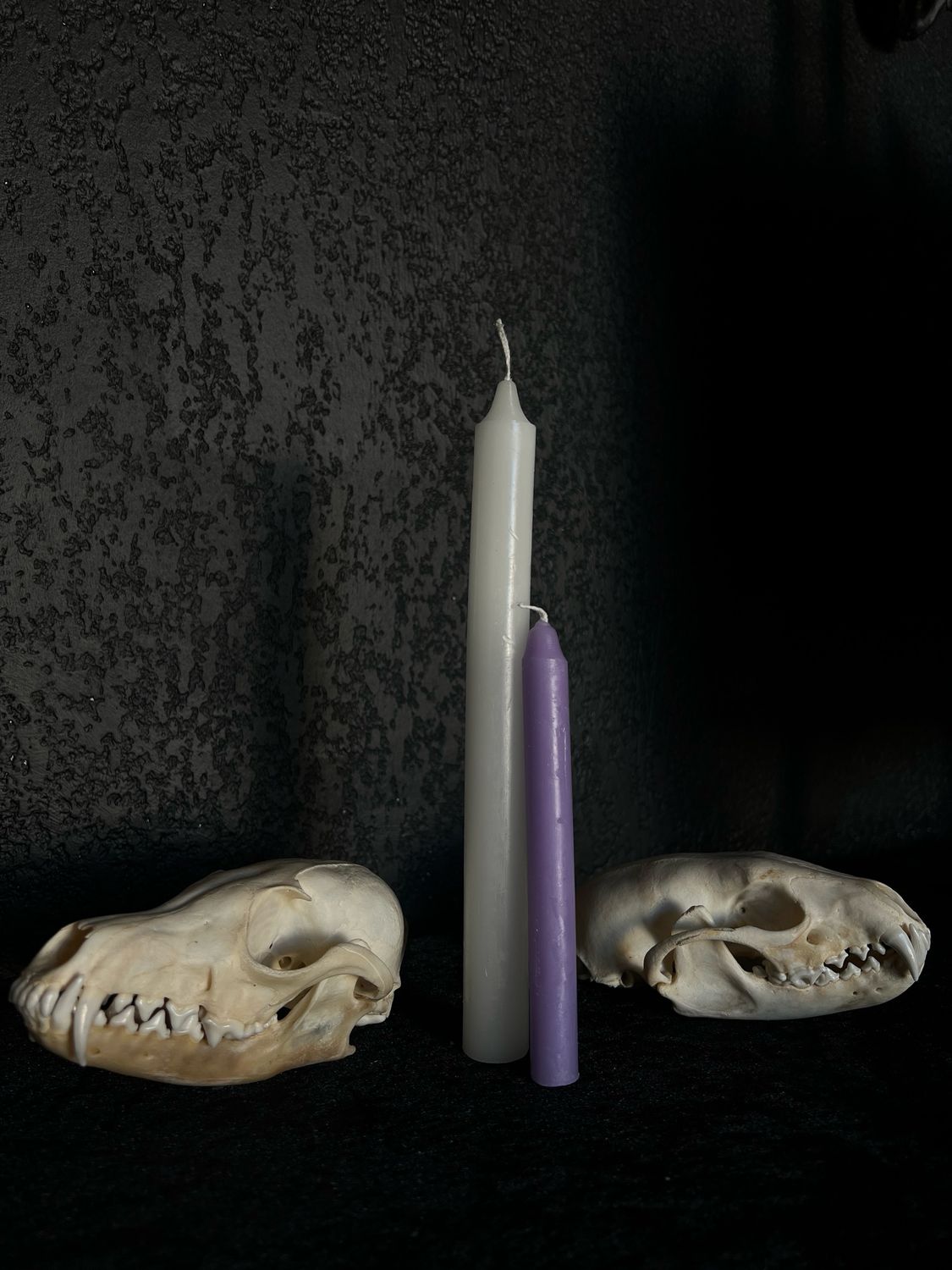 Bougie rituel Violette