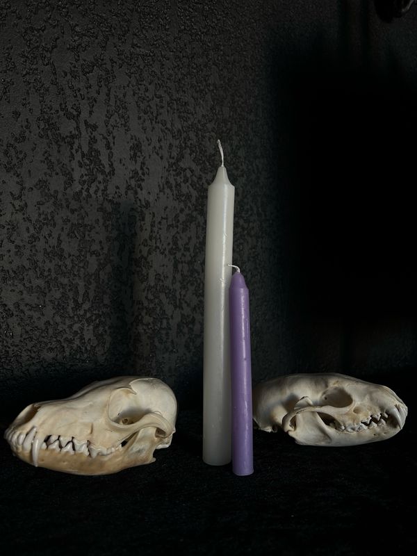 Bougie rituel Violette