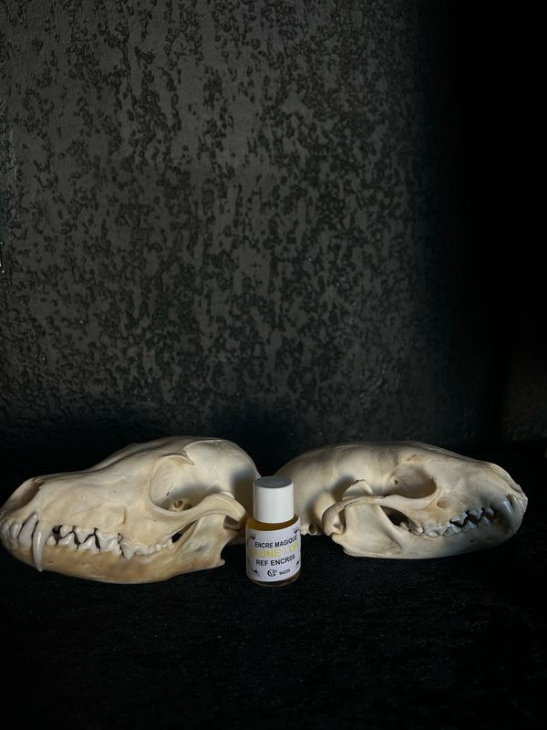 Parchemins, plaques &amp; encres