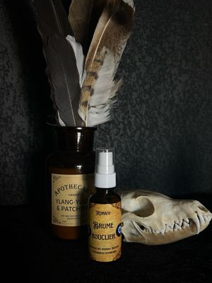 Brume : Bouclier