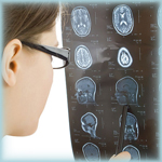 Brain Support