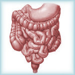 Gastrointestinal