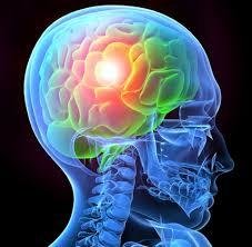 Brain Support Shake