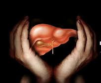 Liver Support