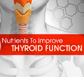 Thyroid Support