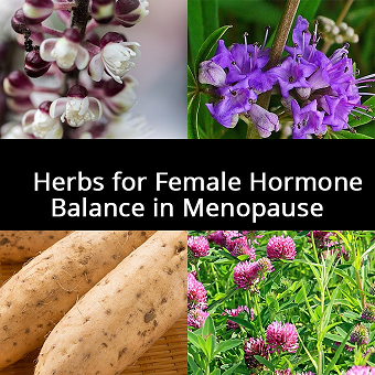 Menopause Support