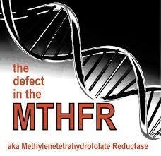 Methylation Protect