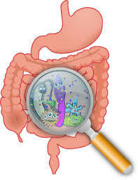 Probiotic Daily