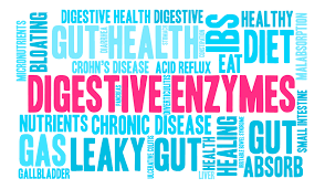 Digestive Enzymes