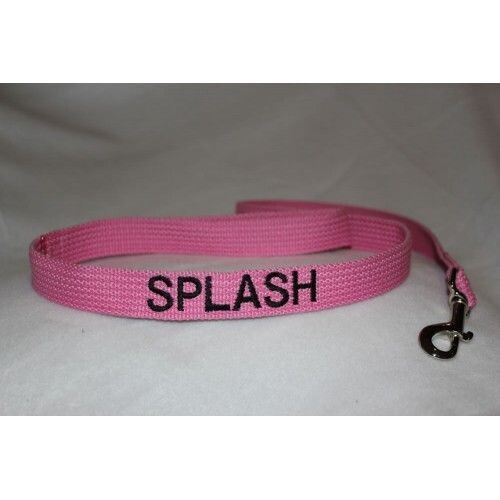 Personalised Standard Lead