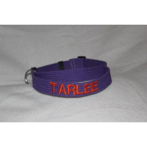 Flyball Collar