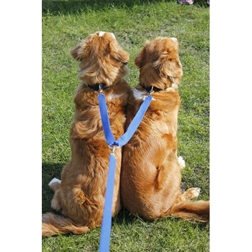 Personalised Dual Walker Lead