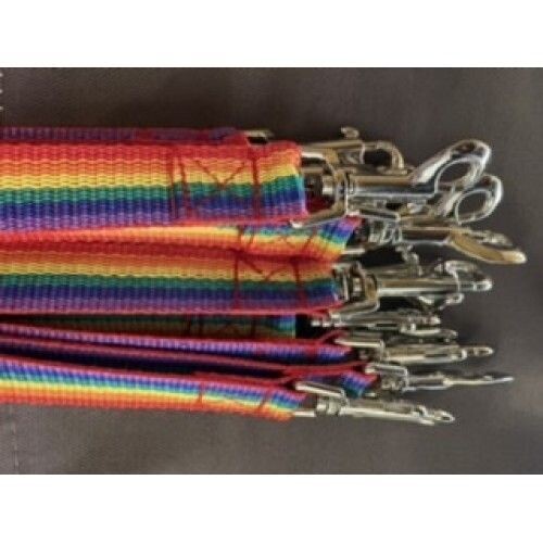 Budget Rainbow Lead