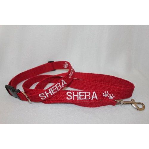 Personalised Standard Collar and Lead Set