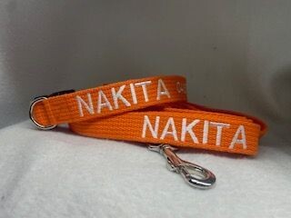 Personalised Standard Collar and Lead Set