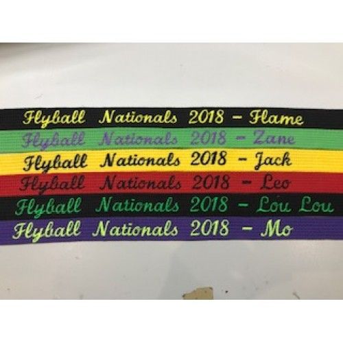 Flyball Nationals Lead