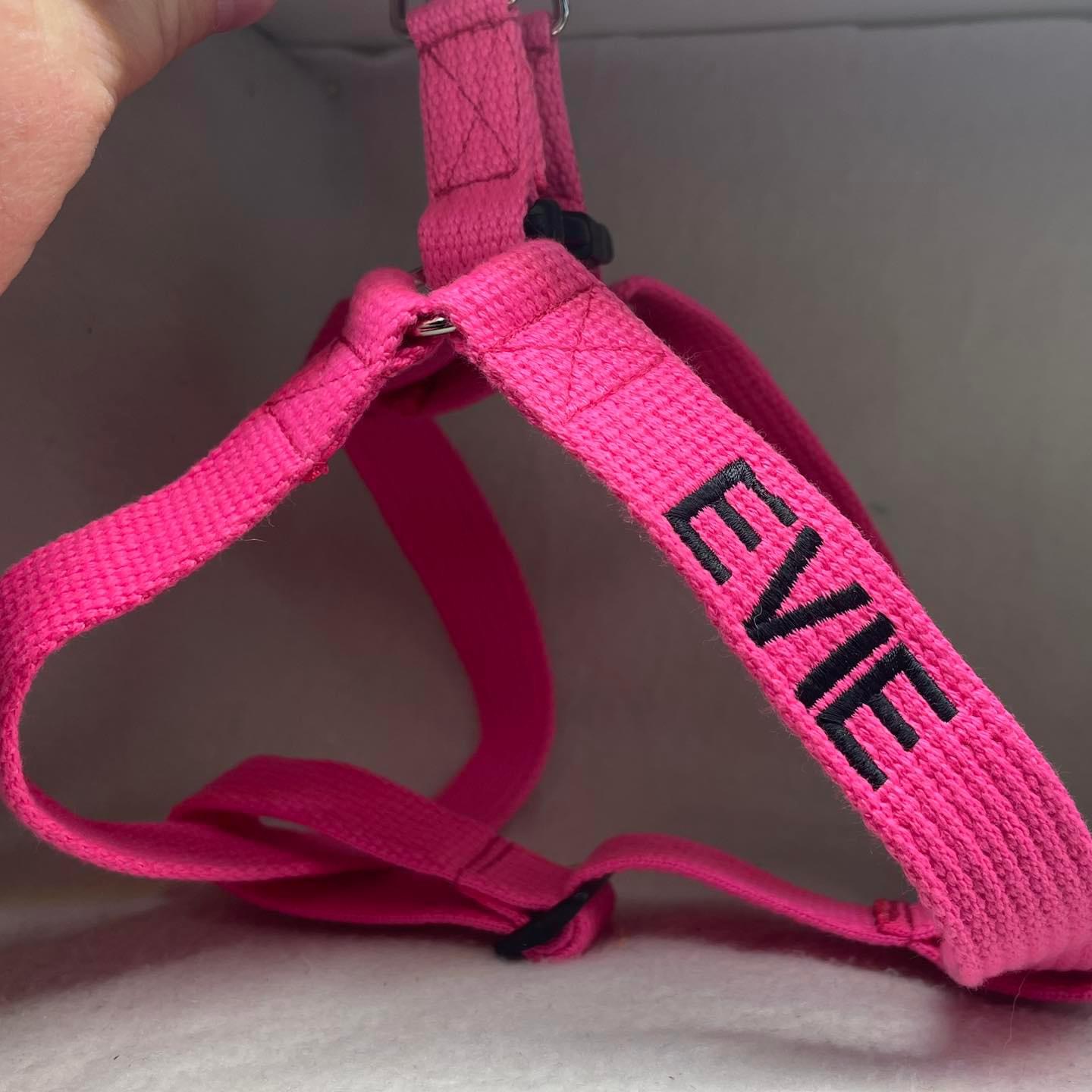 Step in Walking Harness