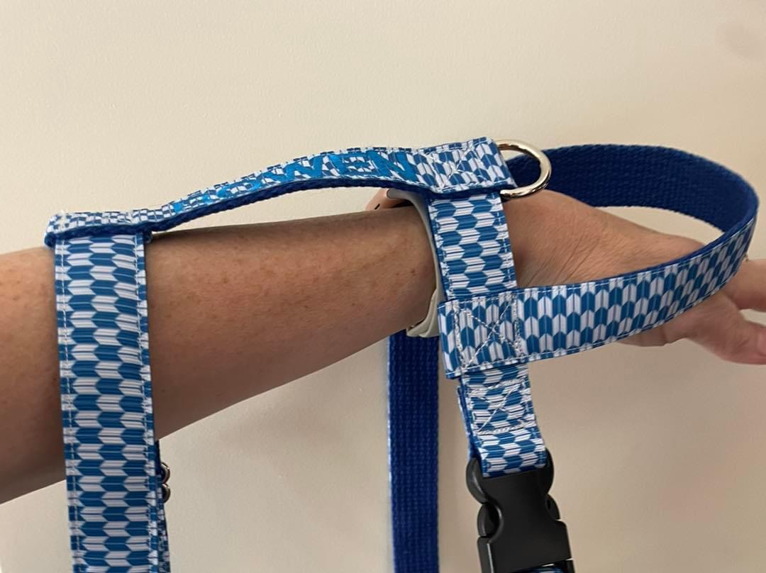 Y Front Flyball Harness